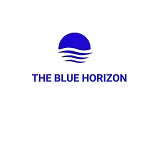 Hotel Blue Wave, Radhimë